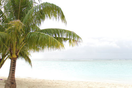 エルダーズのイメージ