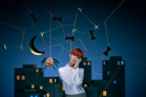 写真家　野村浩司