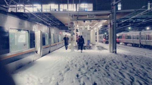 2015年明けましておめでとうございます☆ガッキーの今年の抱負と目標