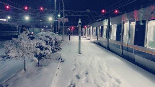 2015年明けましておめでとうございます☆ガッキーの今年の抱負と目標