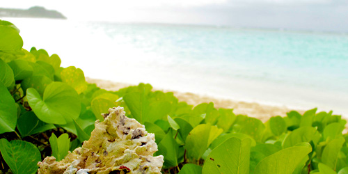 接客力を向上したい美容師さんに薦める1冊の本【極上の接客】