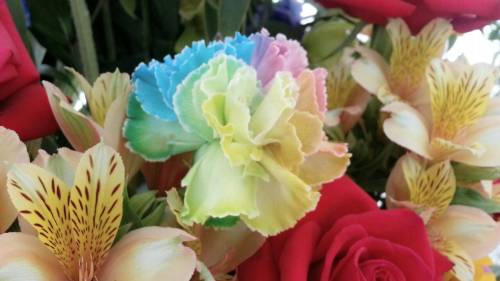 【津守美琴】スタイリストデビュー☆☆☆