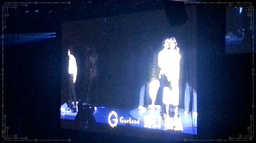 ドリームプラス2015☆美容師の夢が詰まった武道館での祭典(DREAM PLUS 2015)31