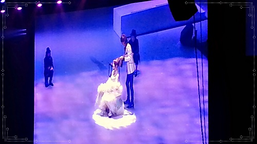 ドリームプラス2015☆美容師の夢が詰まった武道館での祭典(DREAM PLUS 2015)108