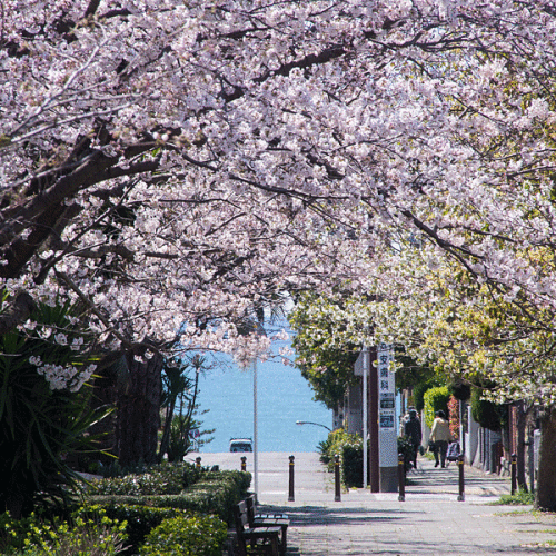 【FAIR by U-REALM】鎌倉七里ヶ浜ってこんなところです4