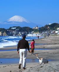 【FAIR by U-REALM】鎌倉七里ヶ浜ってこんなところです5