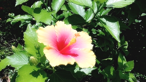 U-REALM沖縄社員旅行02