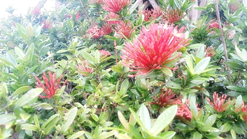 U-REALM沖縄社員旅行04