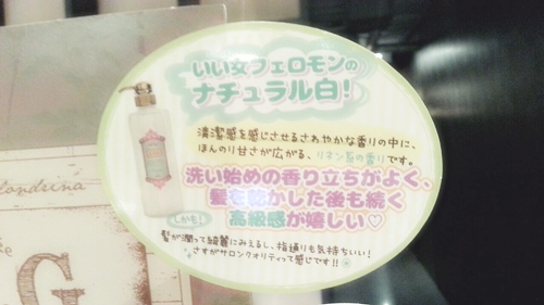 L.O.G by U-REALM シャンプートリートメントの紹介【店頭販売は今のところはドン・キホーテのみ】04