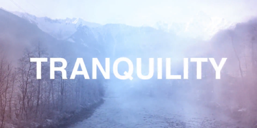 PANTONEが選ぶ2016年のトレンドカラーはこの色7