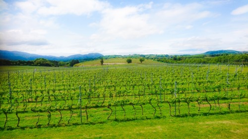 U-REALM社員旅行 in 伊豆半島10