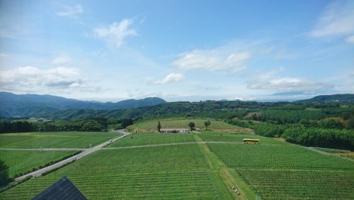 U-REALM社員旅行 in 伊豆半島02