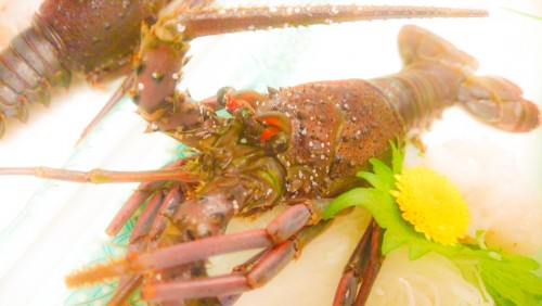 U-REALM社員旅行 in 伊豆半島05