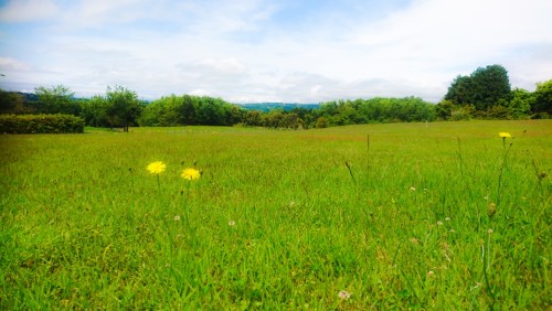 U-REALM社員旅行 in 伊豆半島09