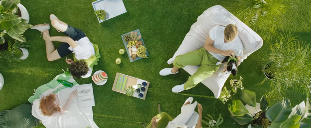 capture-20161222-024542